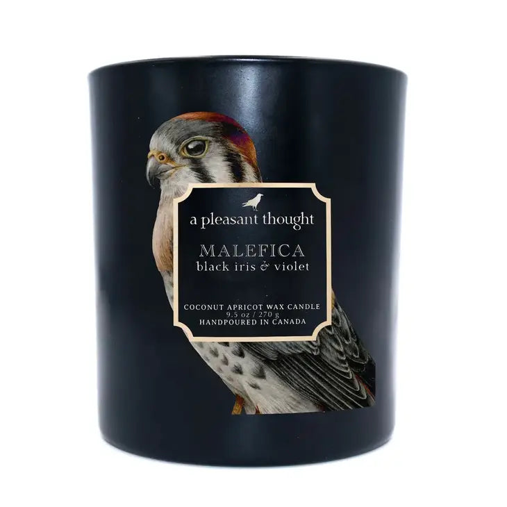 A Pleasant Thought - Malefica / Black Iris & Violet /Raven Candle